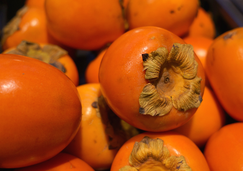 Fruit