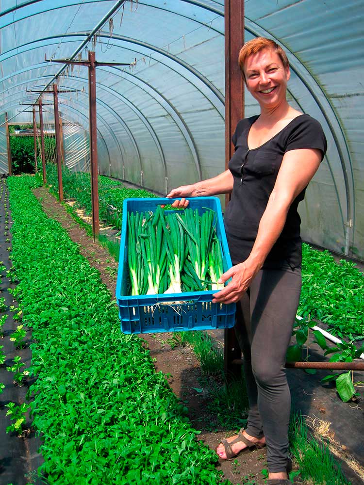 Onze producten Fruit